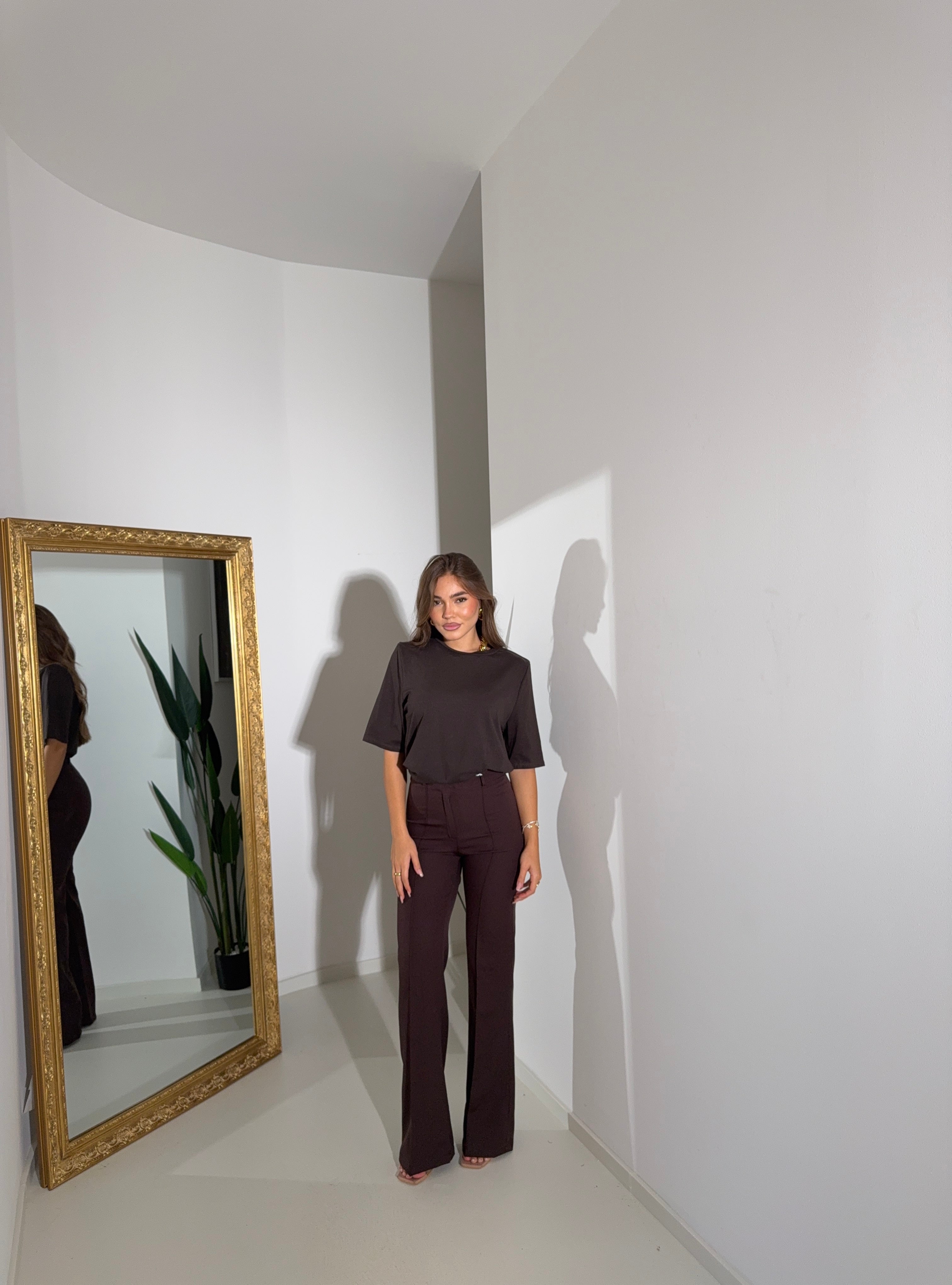 Pants perfect fit marroni