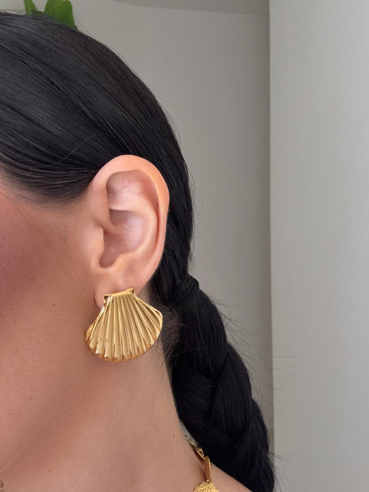 Orecchini conchiglia oro