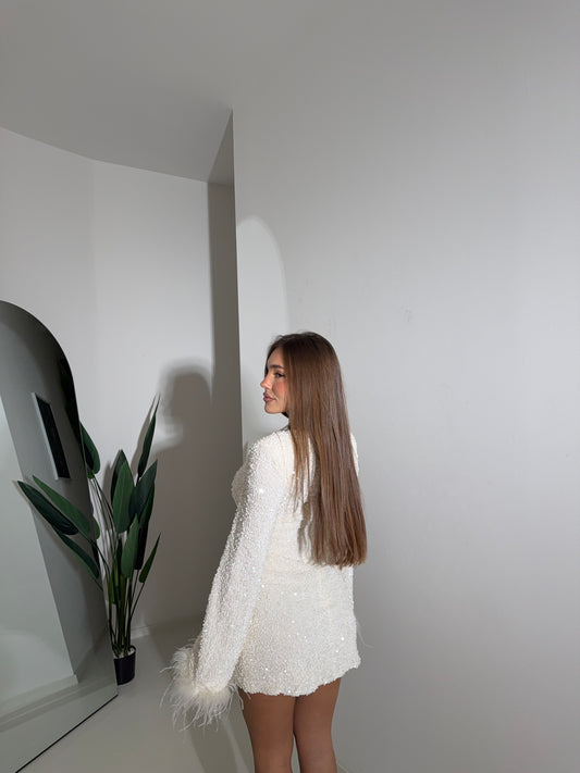 Dress paillettes plume